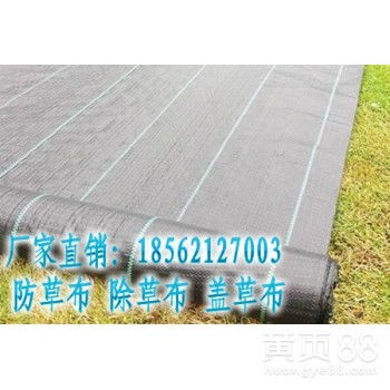 園林除草布 高效防草解決方案與市場趨勢探析